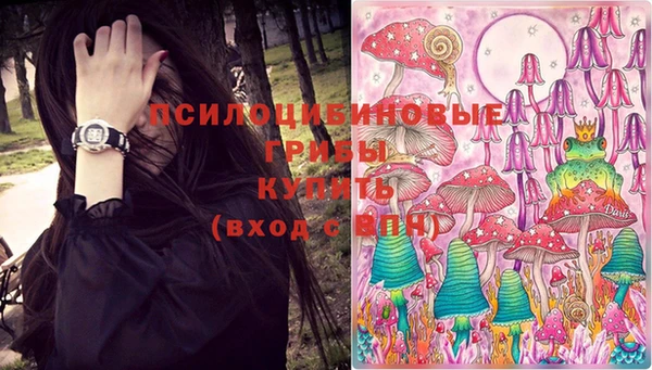 соль курить ск Богданович