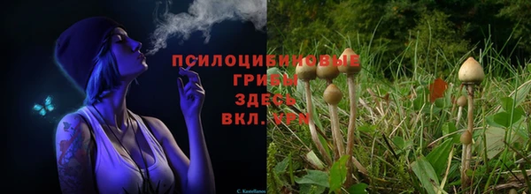 соль курить ск Богданович